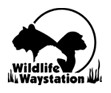wildlife-waystation