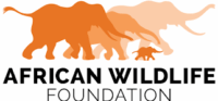 african-wildlife-foundation