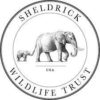 friends-of-david-sheldrick